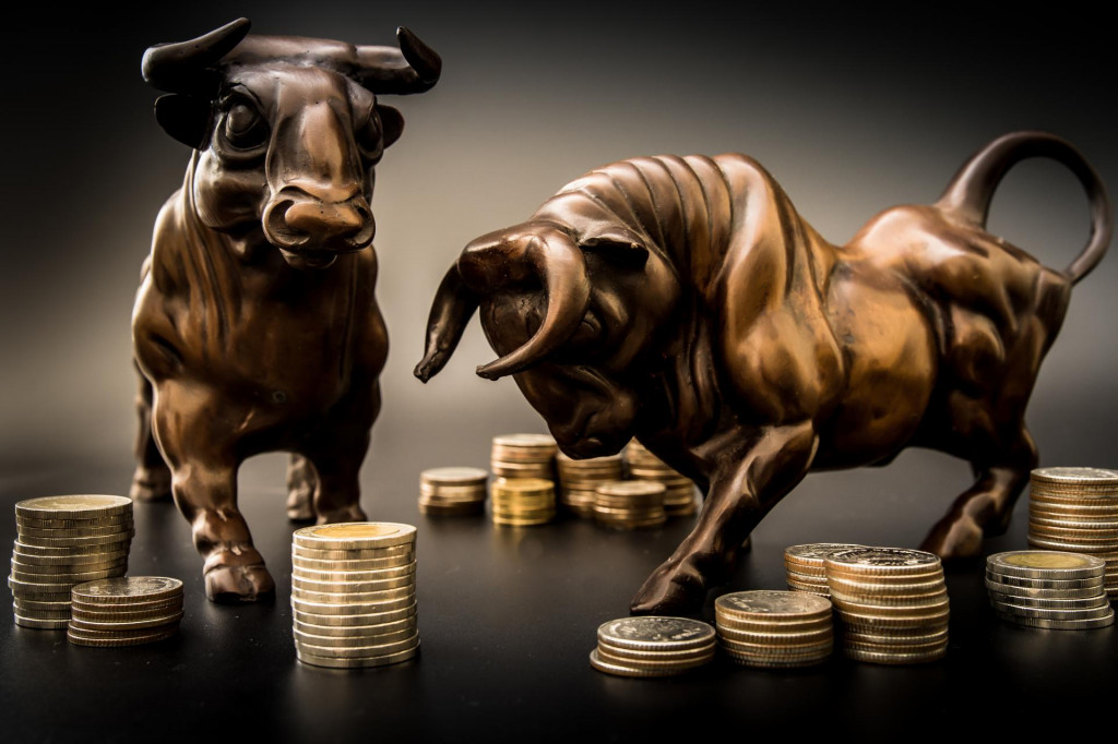 burza dionice novac bikovi