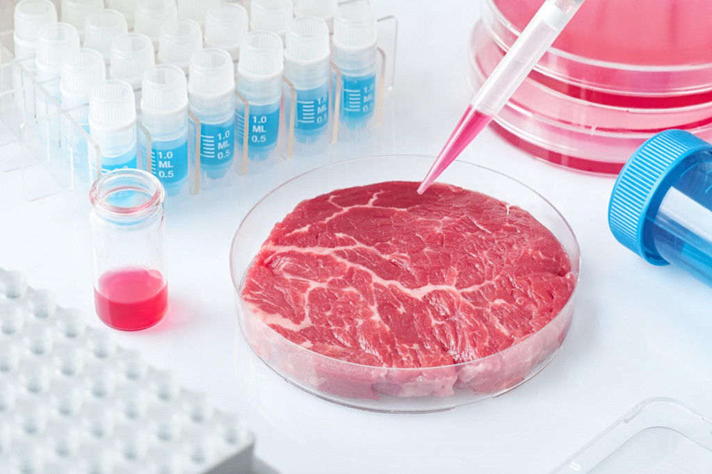Postaje li laboratorijsko meso isplativa investicija? – u utrku ulazi i  Nestle