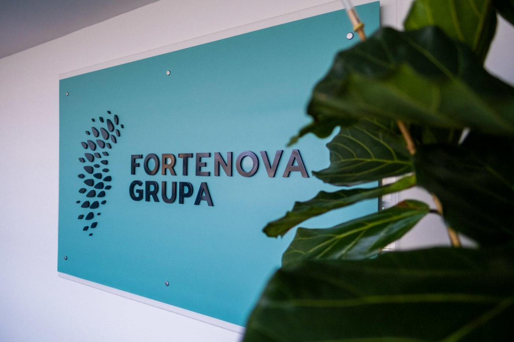 &lt;p&gt;fortenova grupa&lt;/p&gt;