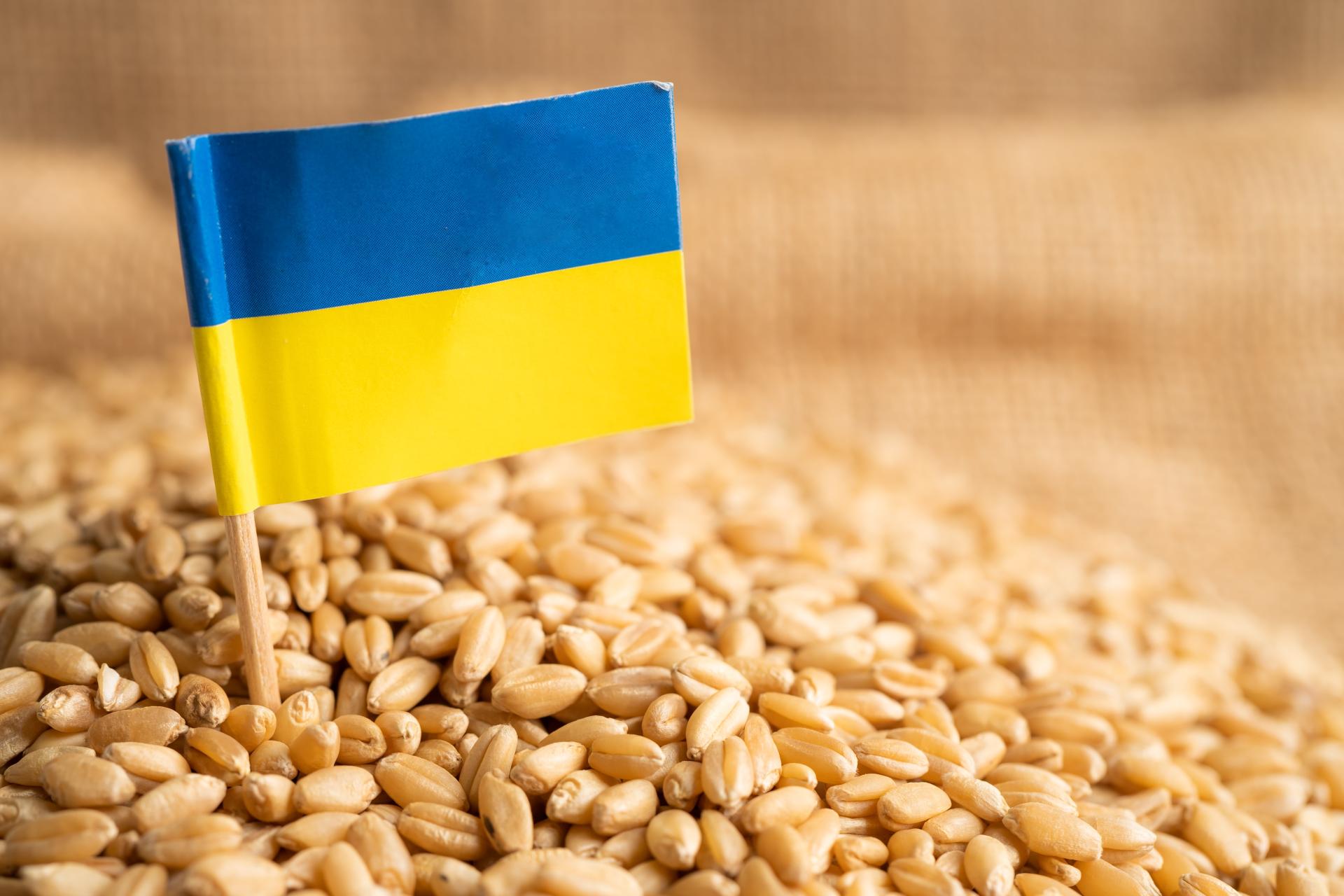 Ukrajina će žito izvoziti Dunavom do Hrvatske i potom brodovima iz Jadrana