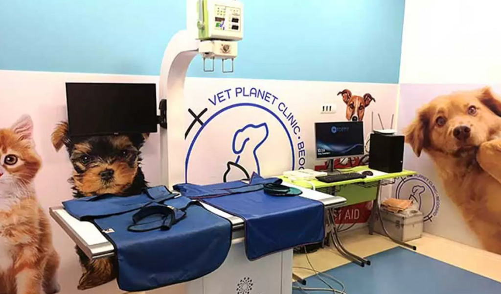 &lt;p&gt;Vet Planet Clinic, Beograd&lt;/p&gt;