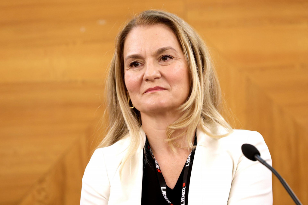 &lt;p&gt;Energetska budućnost Hrvatske 2024. Okrugli stol ”Kako dekarbonizaciju ubaciti u višu brzinu?” Maja Pokrovac&lt;/p&gt;