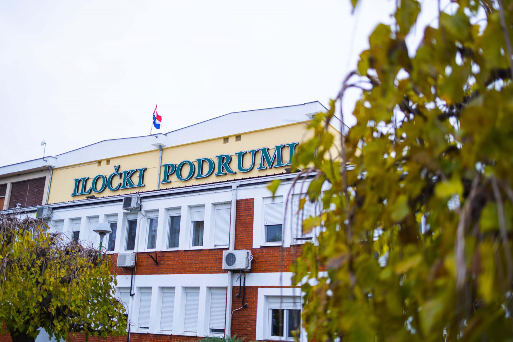 &lt;p&gt;Iločki podrumi&lt;/p&gt;