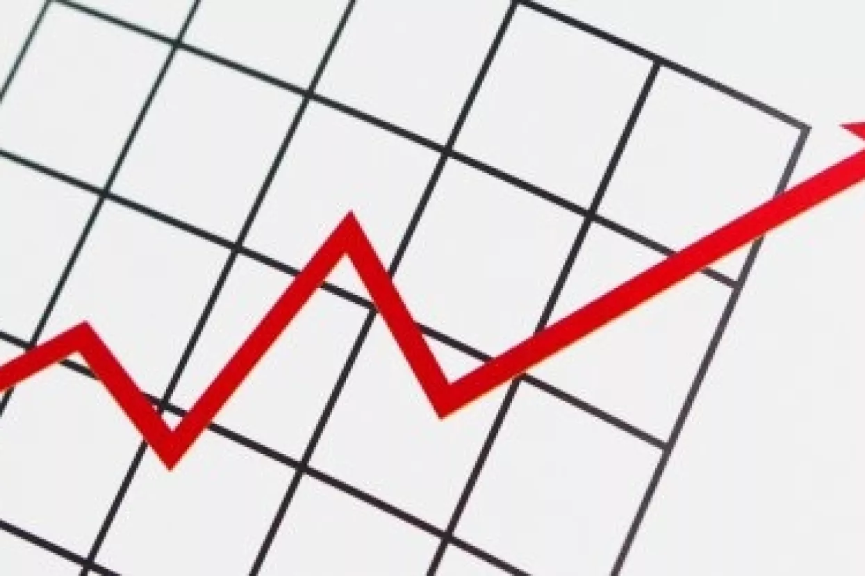 Direktori predviđaju rast 2006.