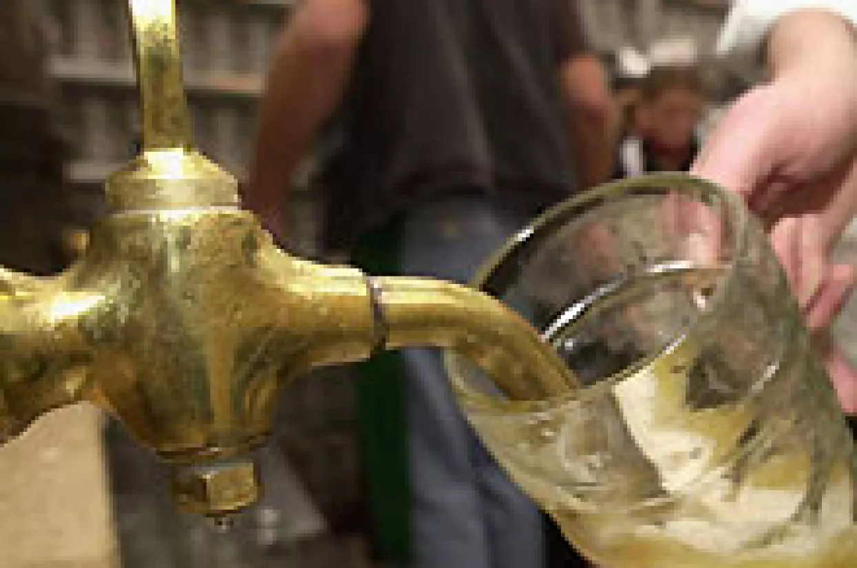 Stranci 'osvajaju' (i) na&scaron;u &scaron;estu pivovaru