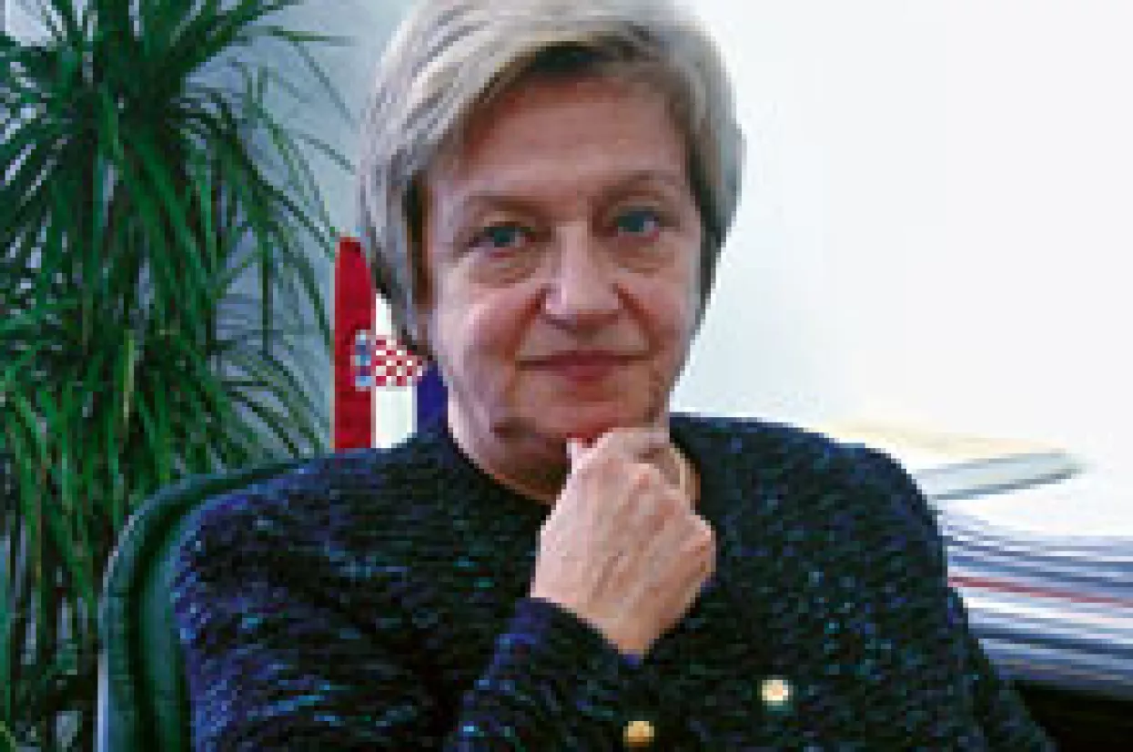 Matulović-Dropulić odbacila Mesićeve tvrdnje da je u sukobu interesa