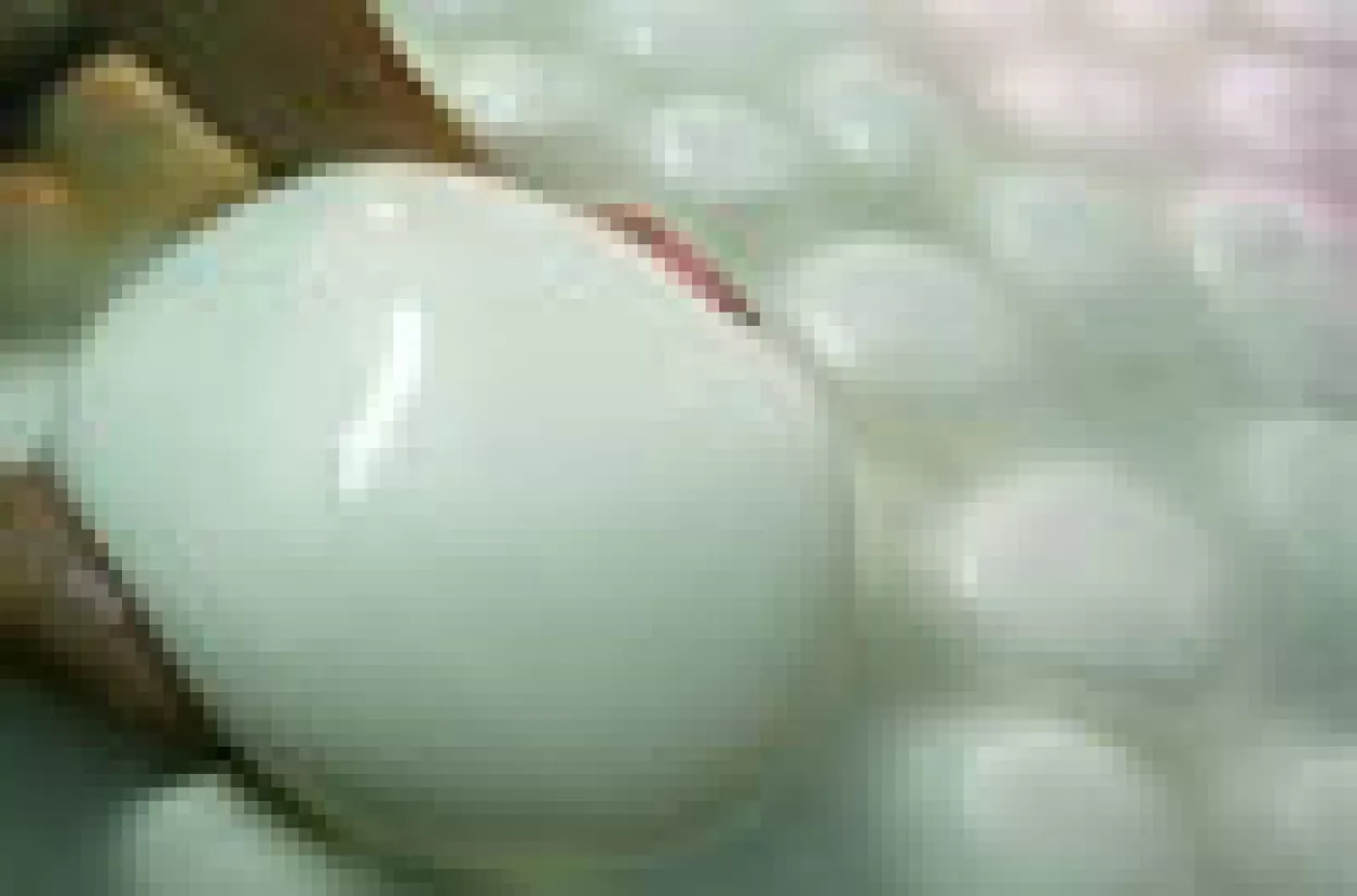 Mozzarella s dioksinom?