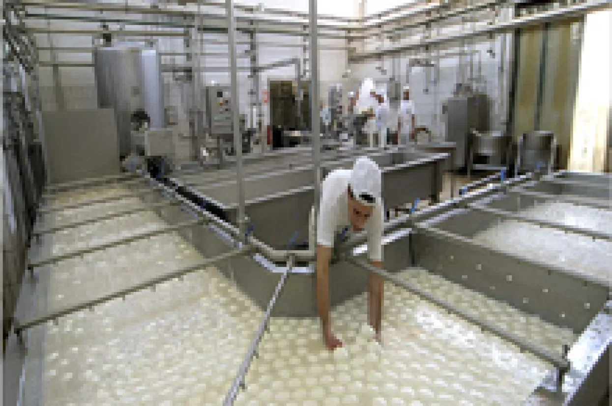 Italija: Nije bilo izvoza zagađene mozzarelle