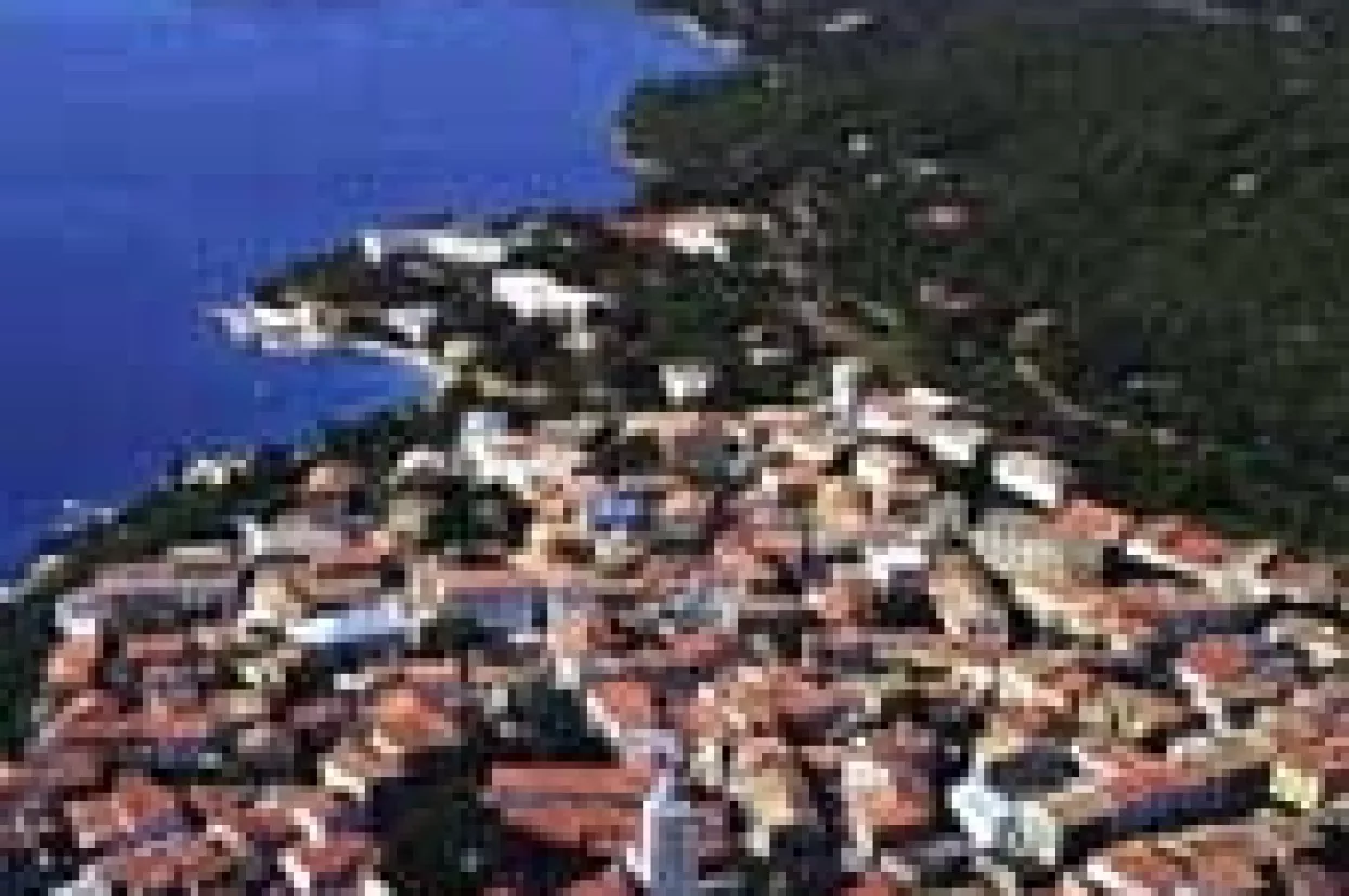 Morskim organizmima  prijeti velika opasnost