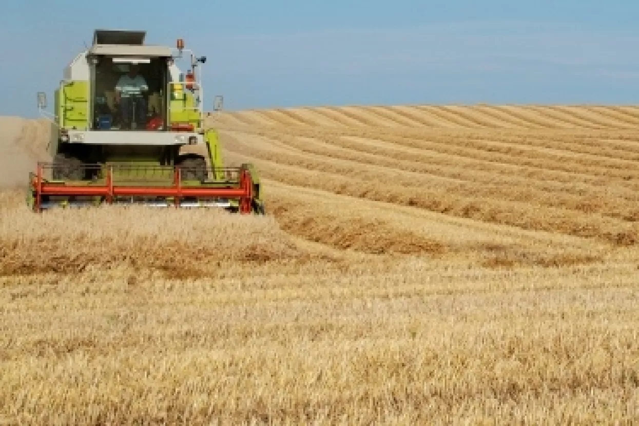 Farmeri u SAD i svijetu povećavaju proizvodnju žitarica