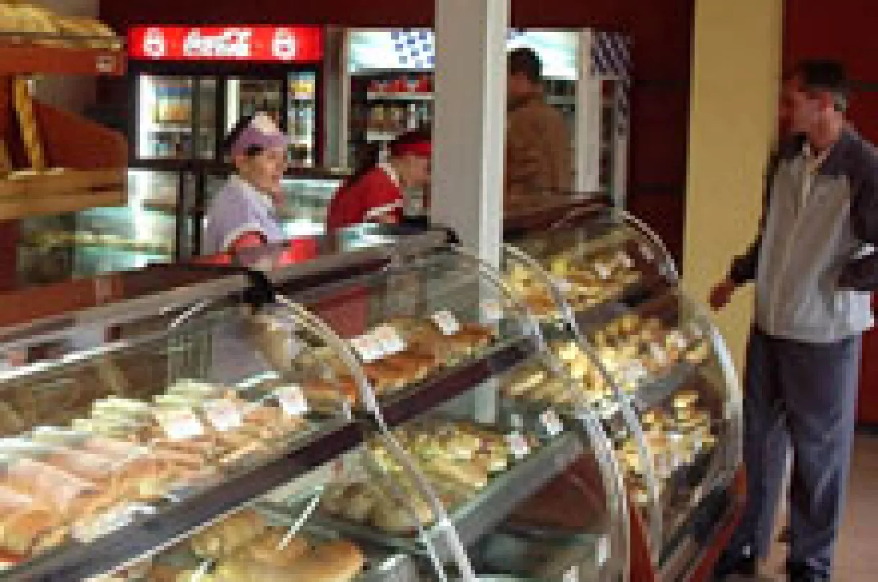 Rast broja zaposlenih u obrtu i slobodnim profesijama