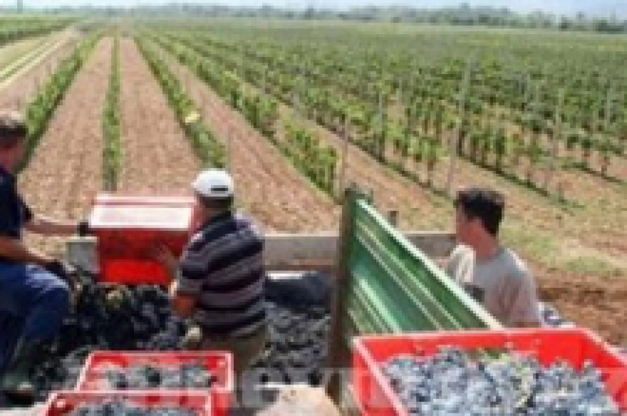 Kutjevo odustalo od privatizacije Hepoka
