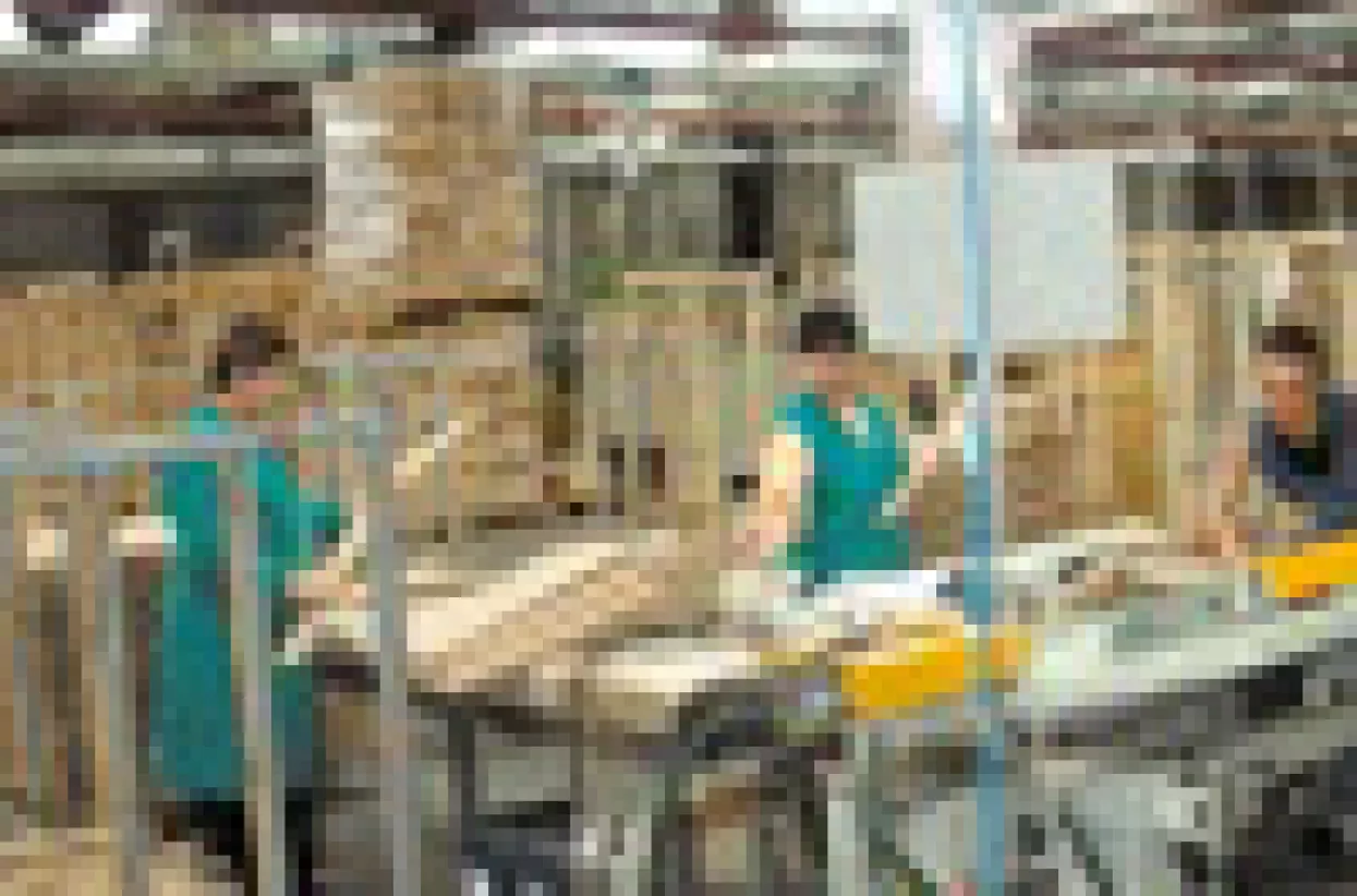 Spačva nije produžila ugovore s 300-ak radnika