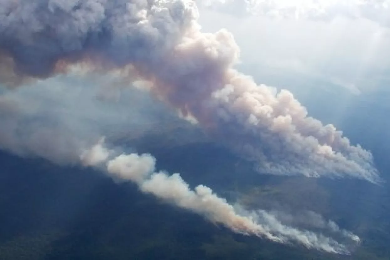Brazilska Amazonija izgubila 12.000 četvornih kilometara džungle 2007./2008.