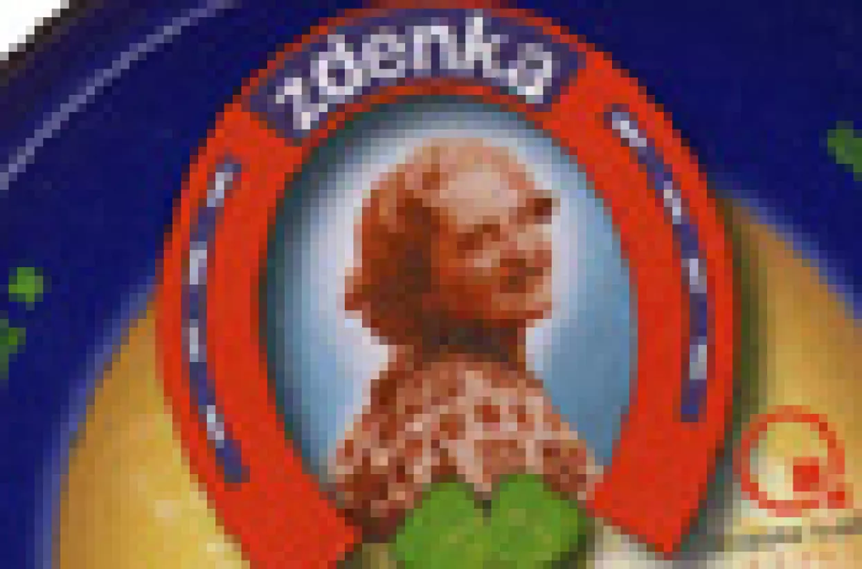Zdenka iz Velikih Zdenaca ide u stečaj