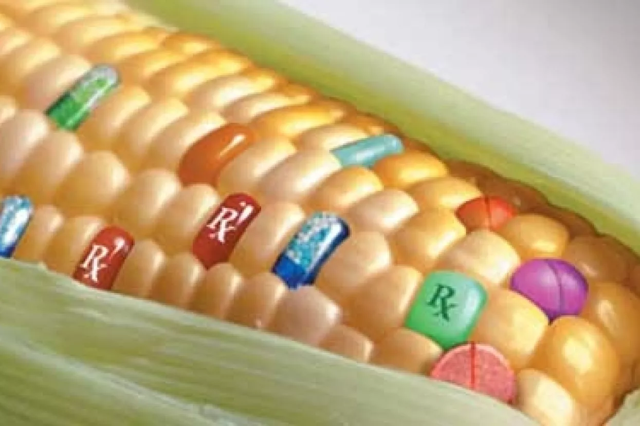 Biotehnolo&scaron;ka industrija ne odustaje od GMO-a u EU