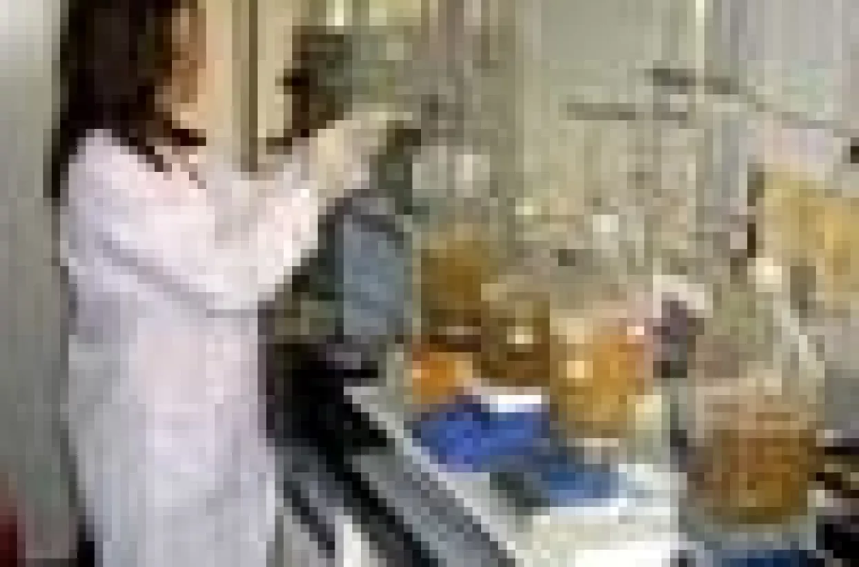Hrvatska znanstvena produkcija u 2008. porasla za deset posto
