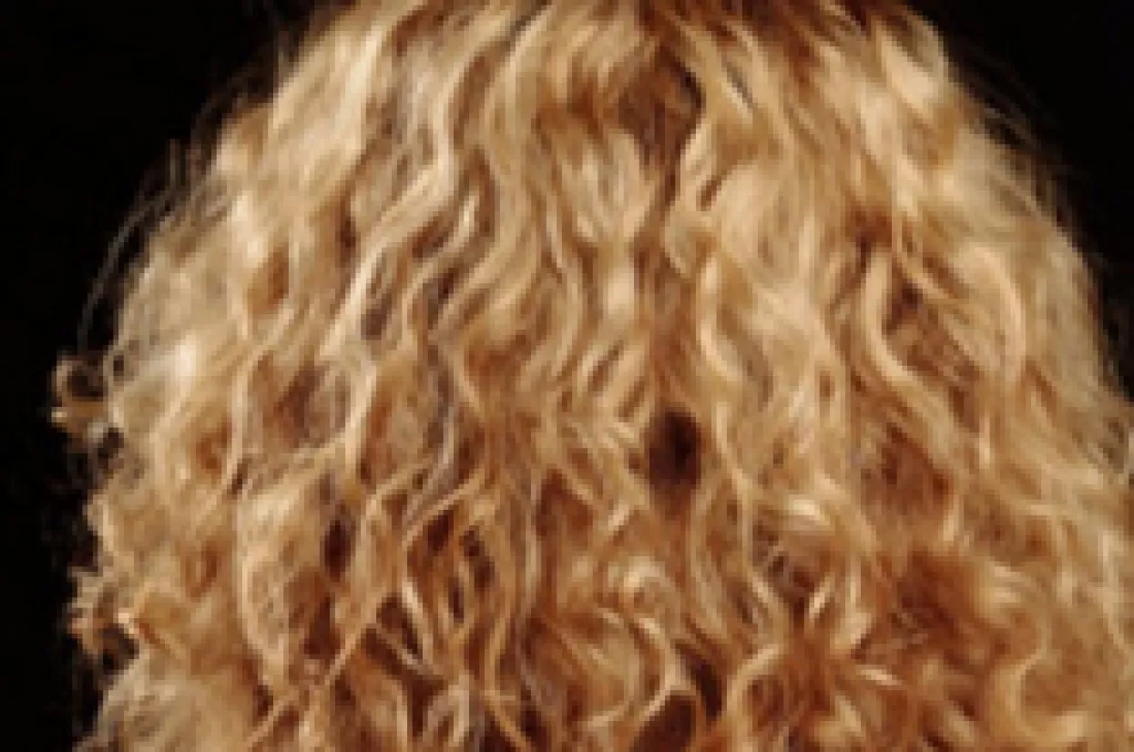 Draga nacijo, trajna is back!