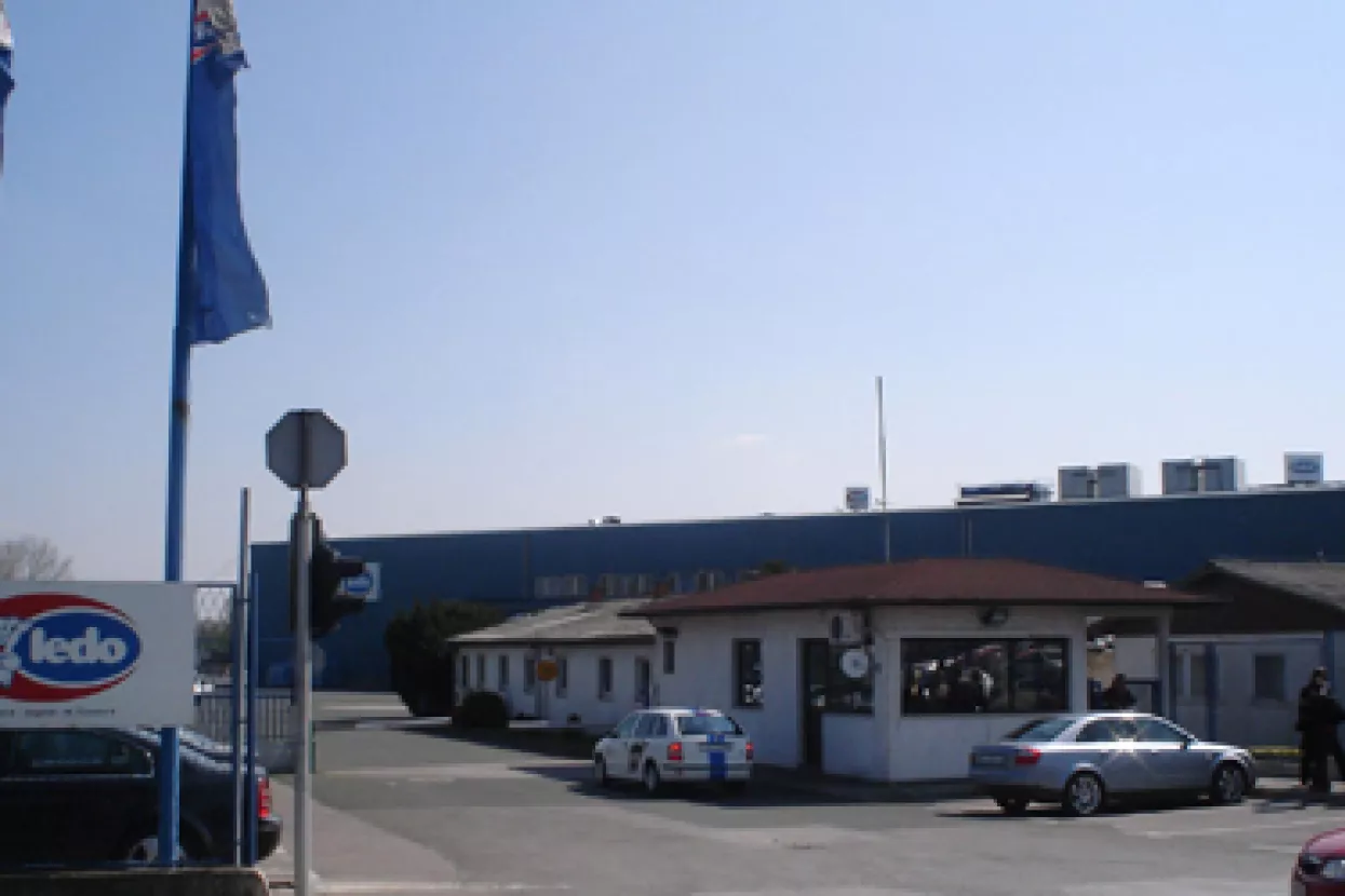 Ledo u proizvodnju čokolade, mesa, voća i povrća