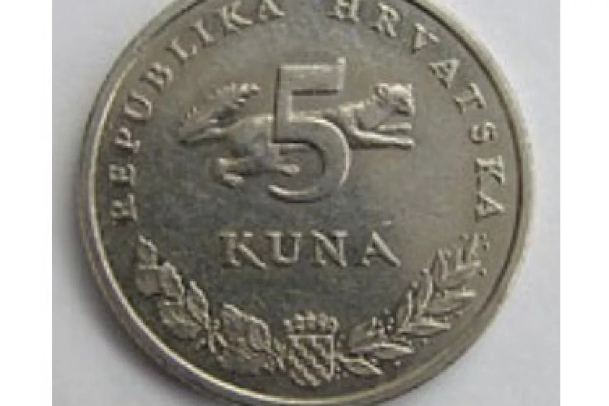 Ginekolozima pet kuna na mjesec po pacijentici