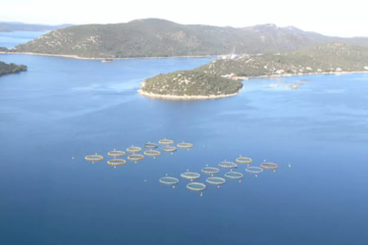 Cromaris ostvario rast prodaje 70 posto