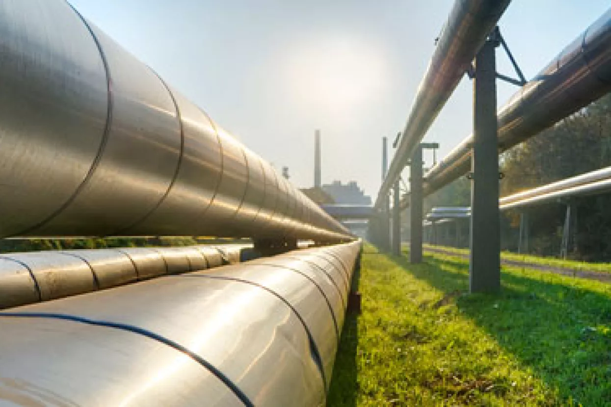 A.T. Kearney: Pad cijene plina od 60 posto do 2015.