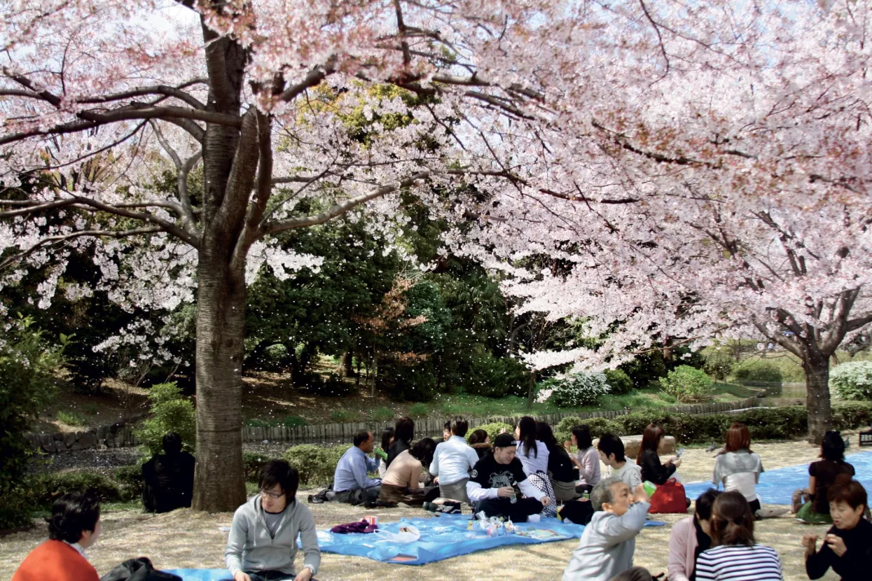 Osaka: &Scaron;etnja uz tre&scaron;njeve latice