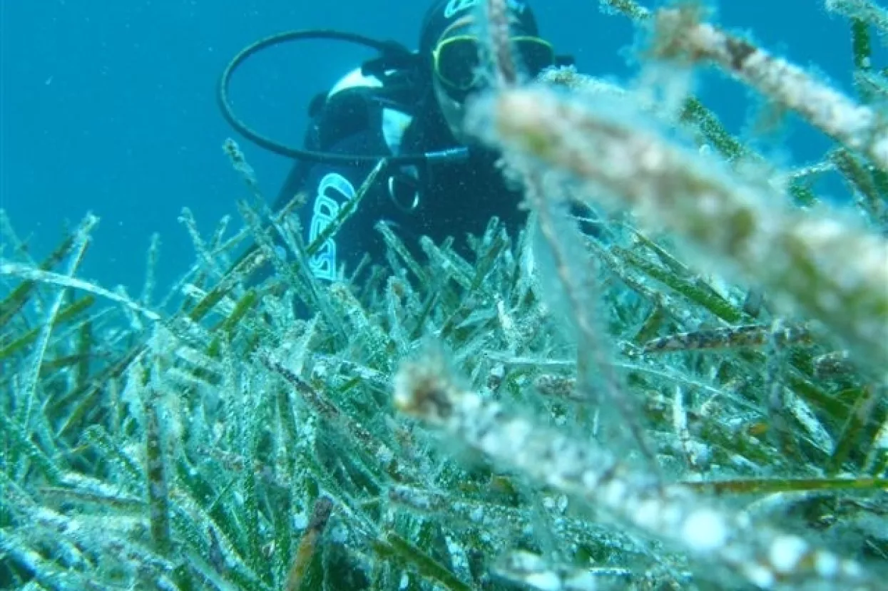 Velika očekivanja od projekta Marine Clean
