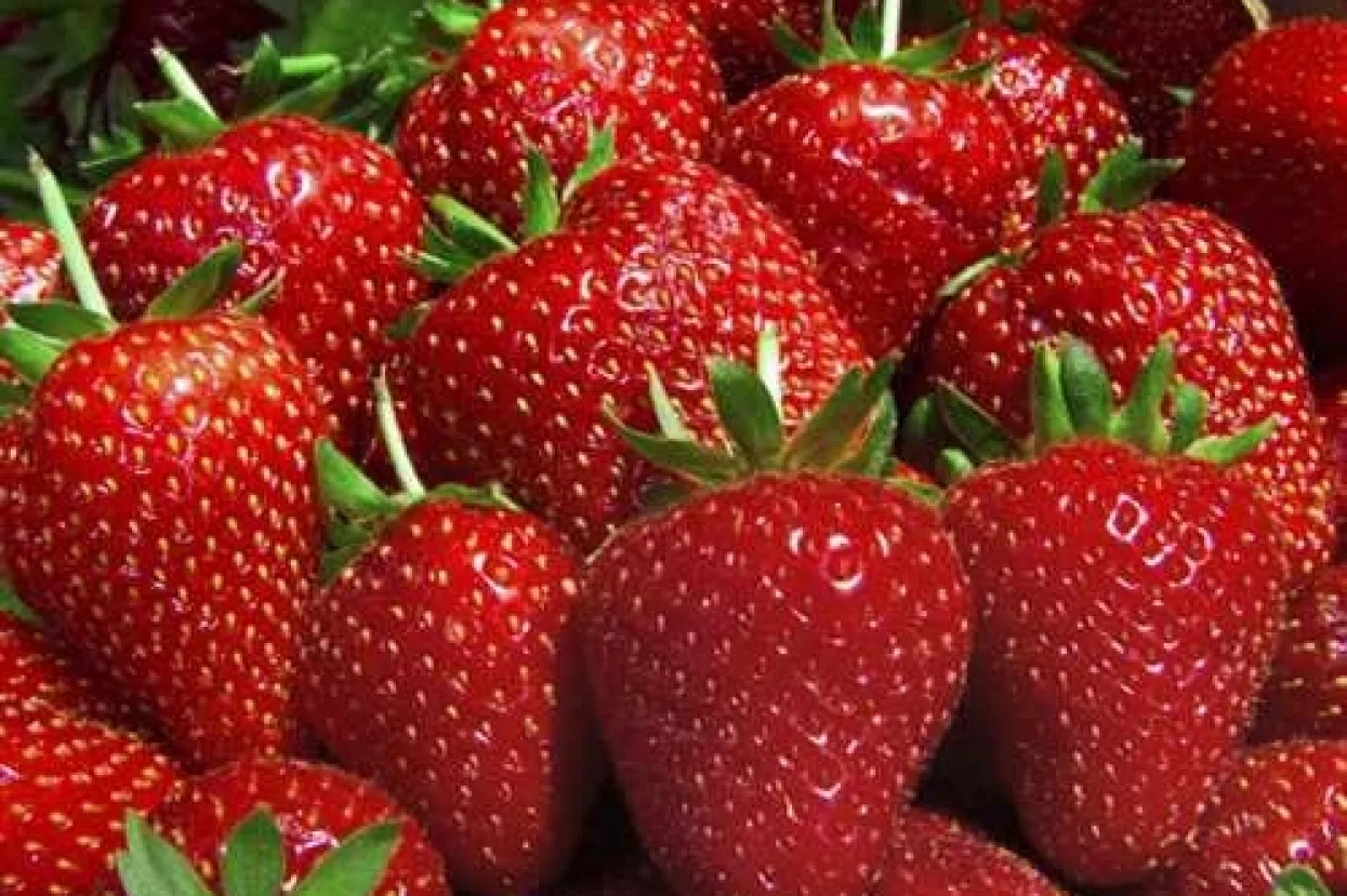 Objavljen popis opasne hrane