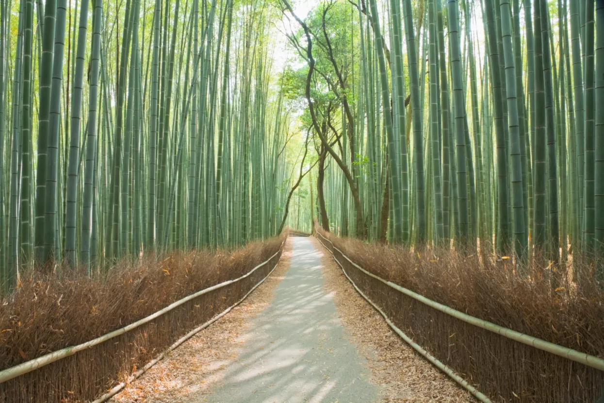 Kako sačuvati osobni integritet