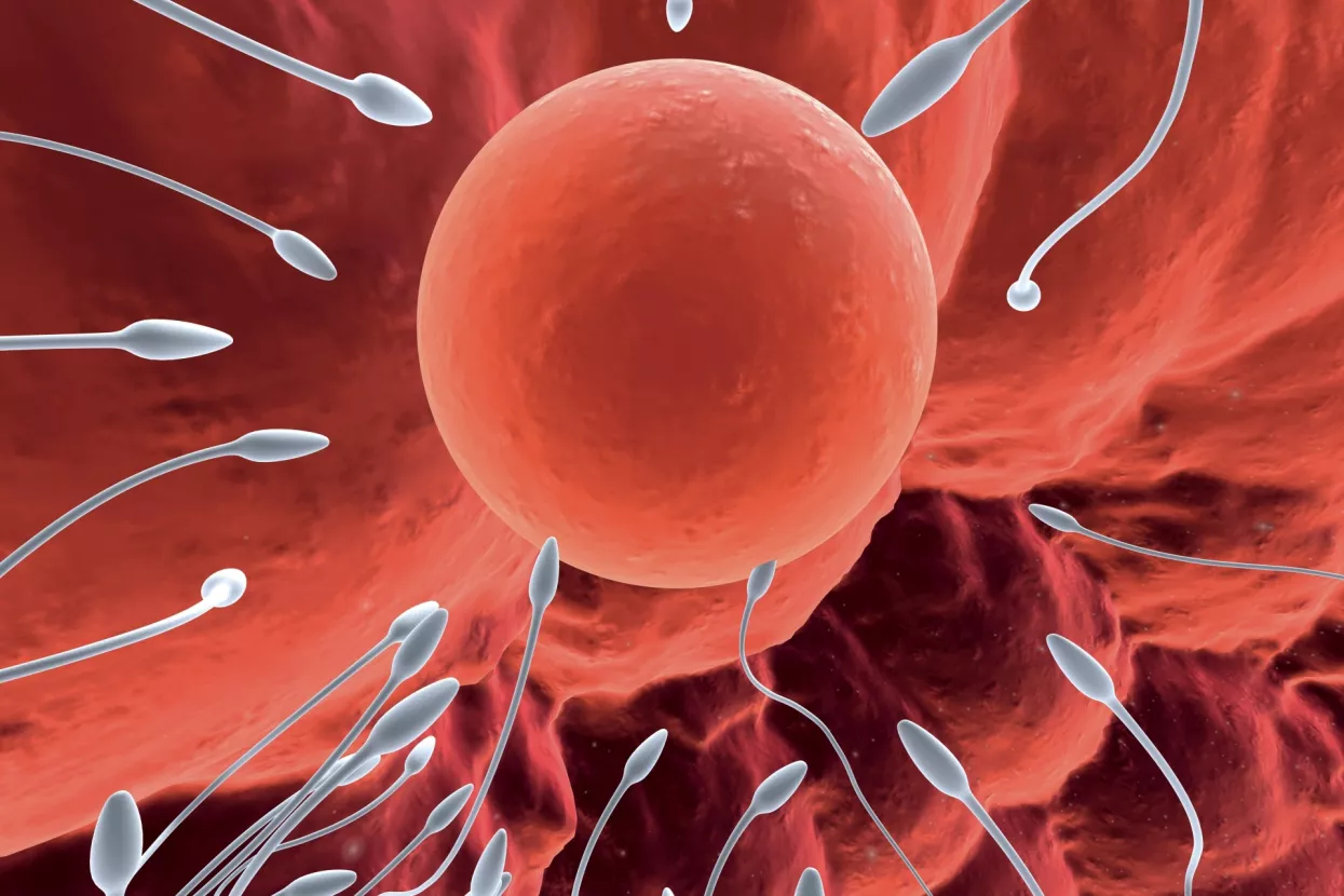 100% zdravi: O potrazi za vječnom mlado&scaron;ću i održanju vrste