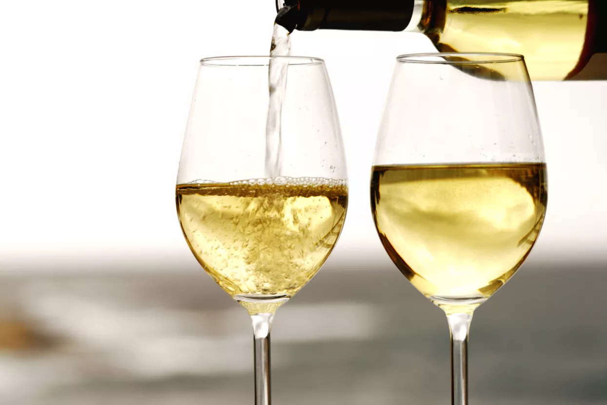London Wine Fair prilika za hrvatske vinare