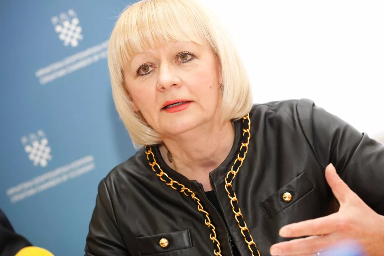 Puljić: Ključ profita je jako domicilno tržište