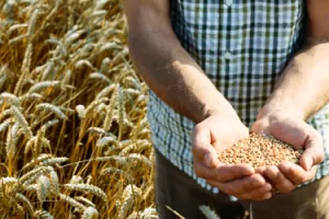 Kako zaposliti sezonskog radnika