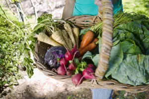 Znate li &scaron;to jedete?