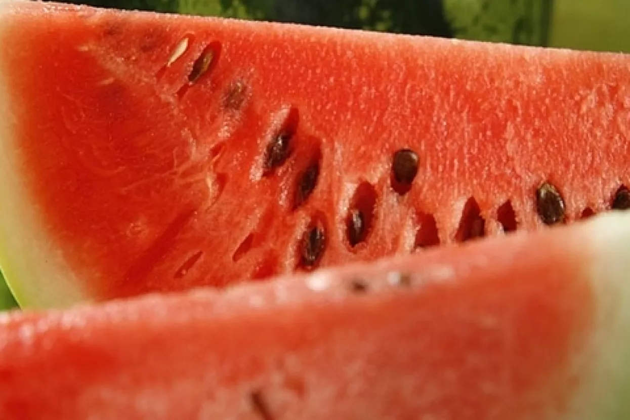 Rashlađene lubenice su manje hranjive