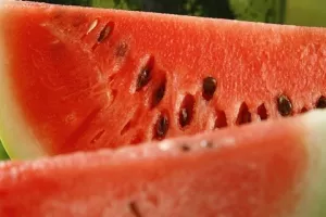 Rashlađene lubenice su manje hranjive