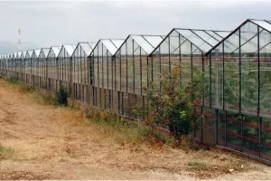 Uprava i sindikati Kaštelanskih staklenika postigli dogovor