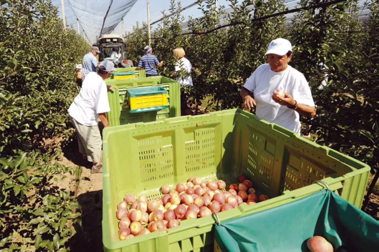 Sezonski rad smanjio stopu nezaposlenosti