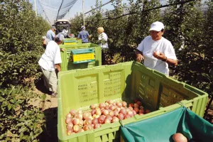 Sezonski rad smanjio stopu nezaposlenosti