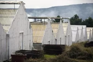 Kaštelanski staklenici dobivaju novi Nadzorni odbor