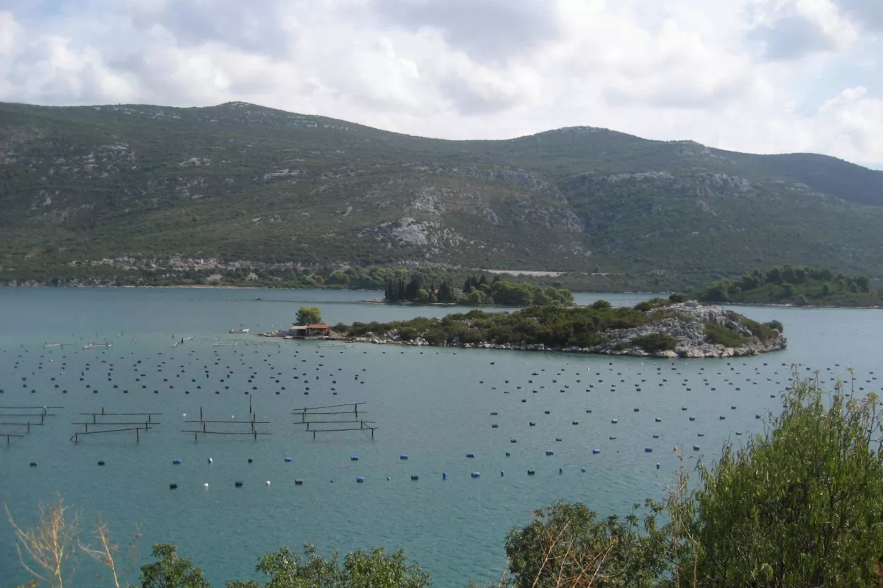 'Malostonski zaljev proglasite područjem od posebnog interesa'