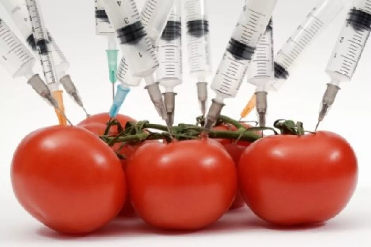 GMO je &scaron;tetan!