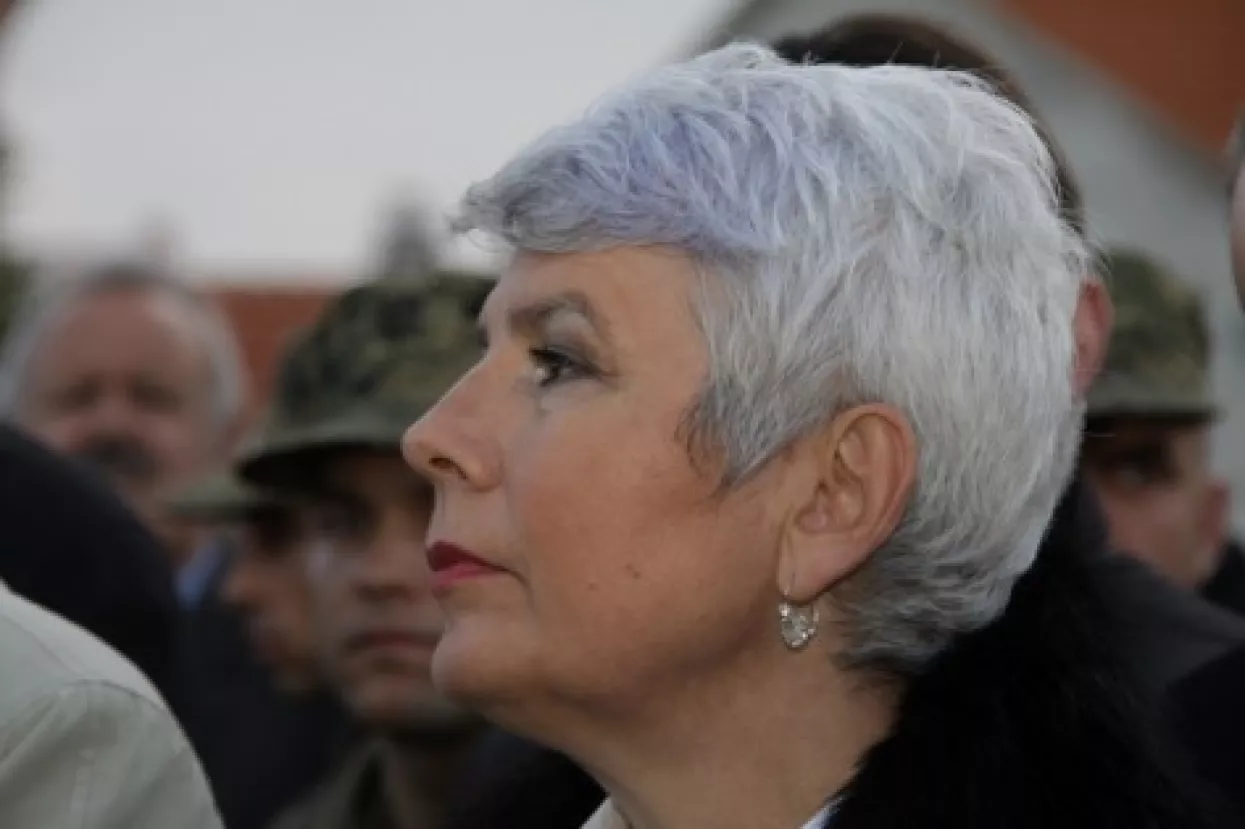 O statusu Jadranke Kosor u HDZ-u odlučivat će Visoki sud časti