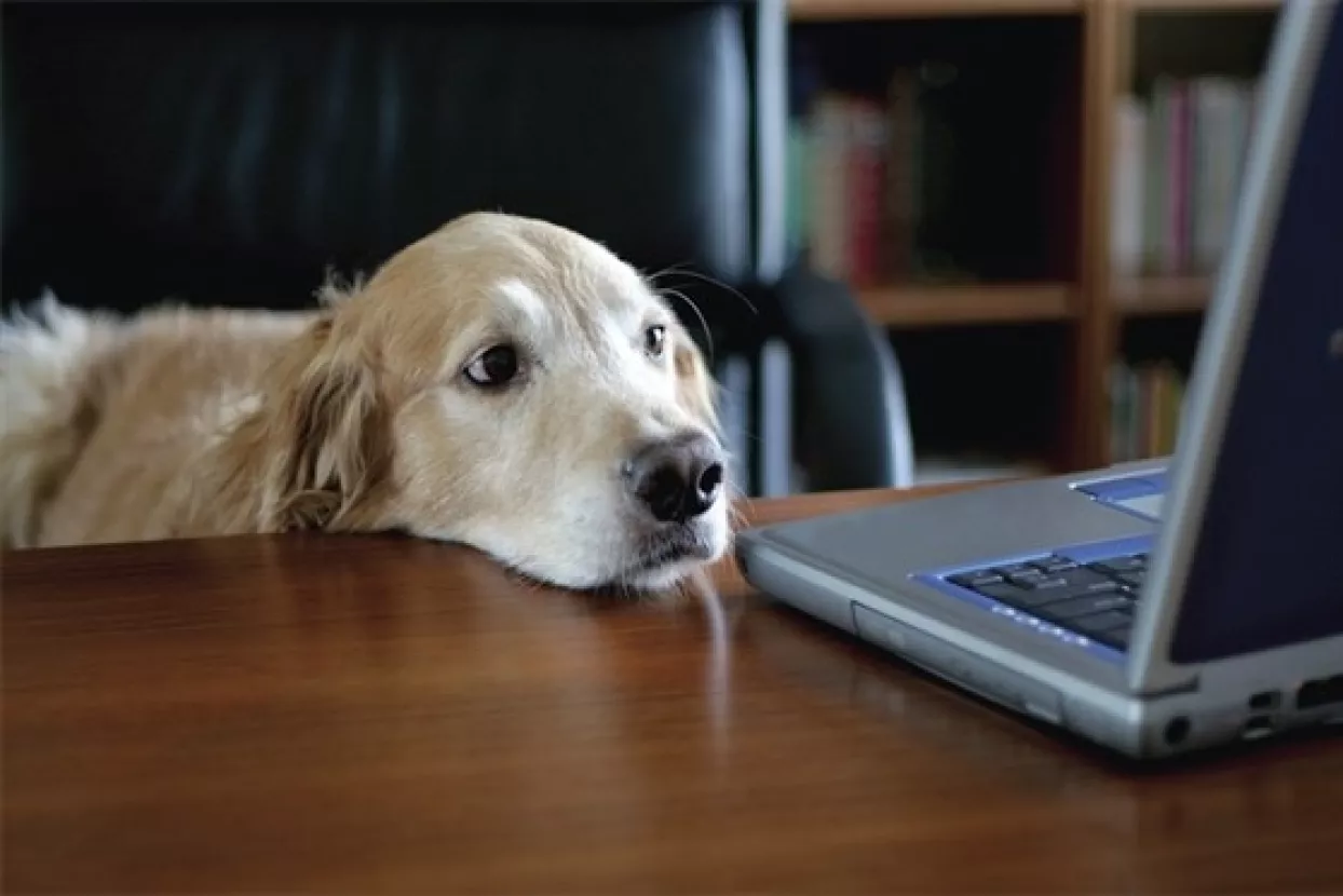 Prva pet friendly banka u Hrvatskoj