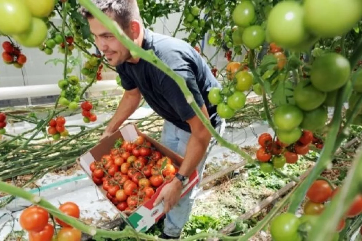 Obiteljska gospodarstva prodala 13,4 posto vi&scaron;e poljoprivrednih proizvoda