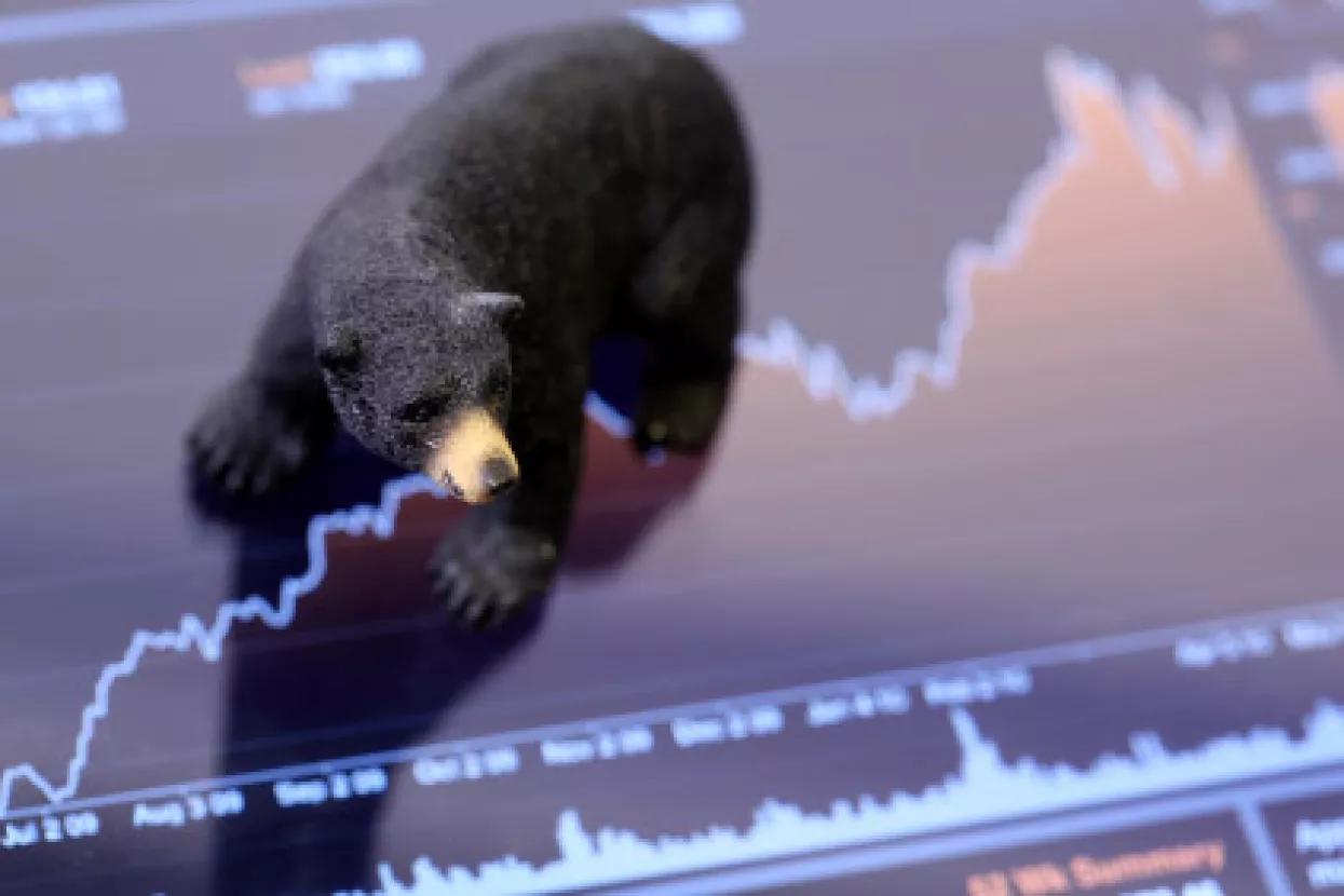 Za koje dionice prevladava bearish sentiment za 2013.?