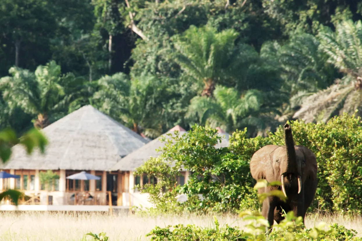 Gabon namjerava postojati i nakon 21. prosinca