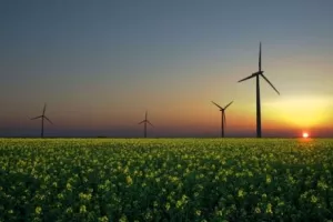 Zelenim kreditom u zeleni dom