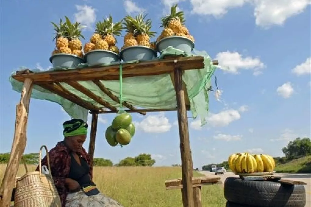 Afrička gospodarstva su pokretačka snaga globalnog rasta